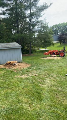 Other Services for Gray’s Tree Service Inc in Maurertown, VA