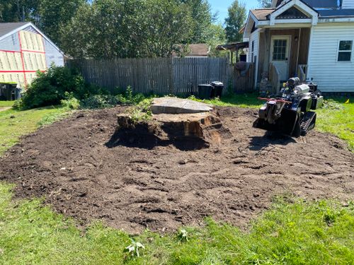 Stump Grinding for Bear Creek Tree Service LLC in Rudyard, MI