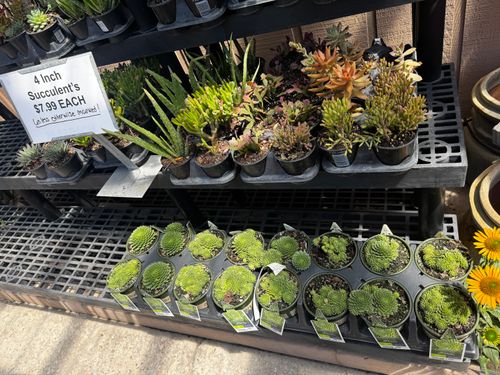 Gardening for Mayfield Landscaping in Staunton, IL