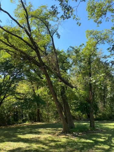 Fall and Spring Clean Up for Atwood’s Tree Care in Liberty,  KY