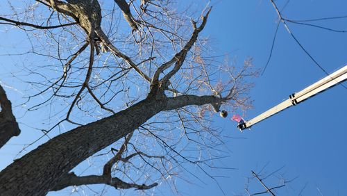  for Advanced Tree Solutions in Rockville, IN