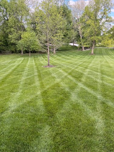 Lawn Care and Maintenance for Sneed & Co LLC in Kokomo, IN