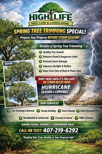 All Photos for Highlife Tree Care And Landscaping in Altamonte Springs, FL