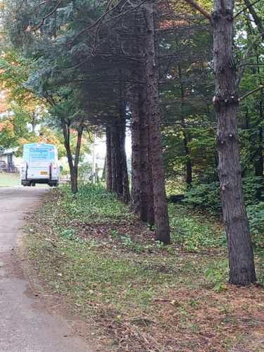 Tree Care for Buffalo Family Tree Care in Buffalo, MN