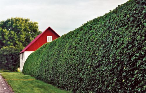 Shrub Trimming for VQ Land & Stone in St. Louis, MO