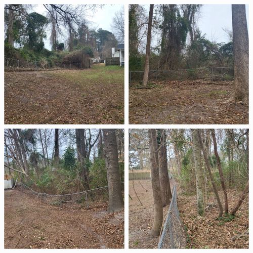 Brush Clearing for Heroy's Lawn Services in Jacksonville, North Carolina