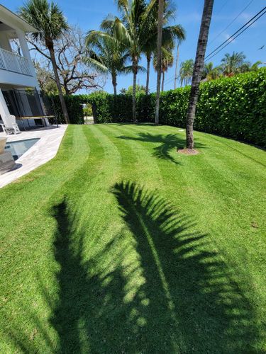 Lawn Care for L & J Palm Tree & Lawn Care Services in Jupiter, FL