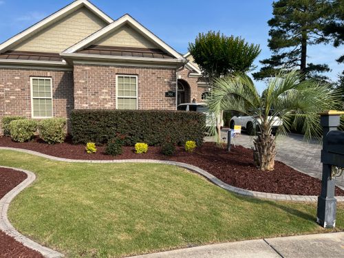 All Photos for New Creation Landscaping in Myrtle Beach, SC