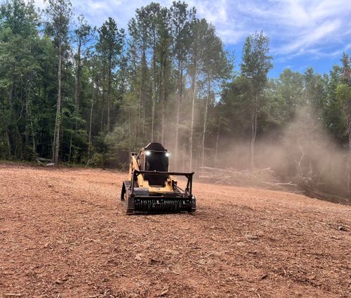 Forestry Mulching for Conway Land Management in Chatom, AL