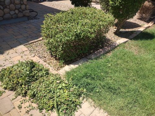 for Smooth Lawn Service in Mesa, AZ