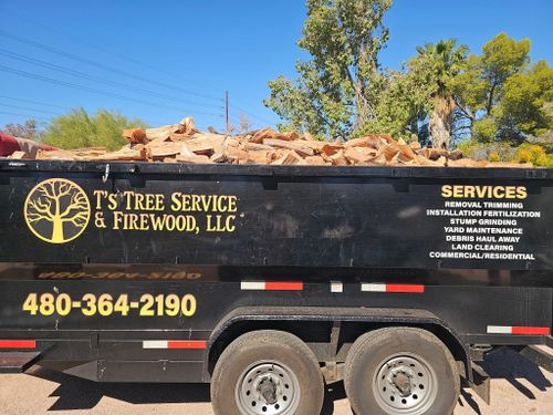 Tree Removal for T's Tree Service and Firewood in Apache Junction, AZ