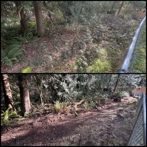 Brush Clearing - Bramble Clearing - Blackberry Clearing for Golovin Property Services LLC in Marysville, WA