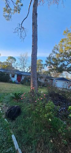  for Servin's Tree Care  in Houston, TX