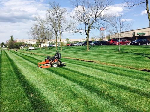 Vegetation Control for Norvell's Turf Management, Inc in Middletown, OH