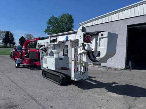 Tree Removal for Lamb Brothers Clearing in Murray, KY