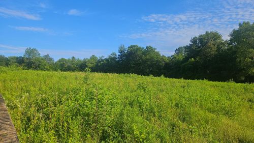  for B&B Land Management in Jamestown, TN
