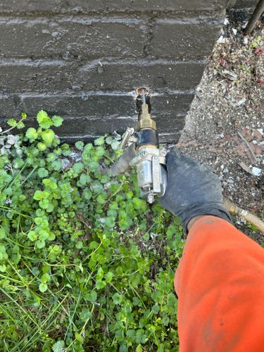 Termite Inspection & Treatment for Winecoff Pest Control in Salisbury, NC