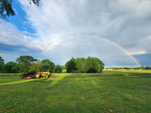  for Owens Tree Services in Inman, SC