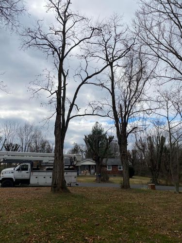 Tree Removal for Atwood’s Tree Care in Liberty,  KY