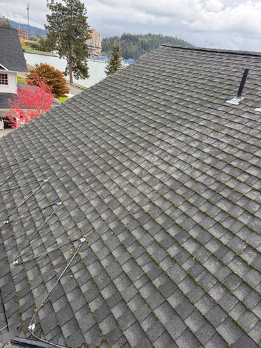 All Photos for Swift Serve in Coeur d'Alene, ID