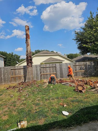  for Servin's Tree Care  in Houston, TX