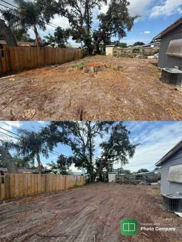 Stump Removal for Adam's Tree and Stump Care in Sarasota, FL