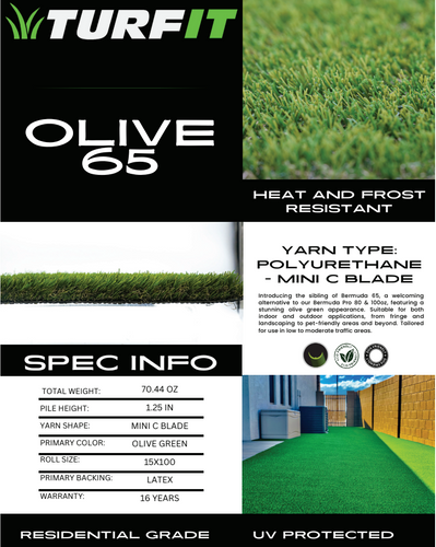 Turf and Artificial Grass for Citiscapes, LLC in Phoenix, AZ