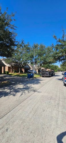  for Servin's Tree Care  in Houston, TX