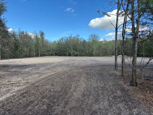 All Photos for Warners Tree Solutions in Live Oak, FL