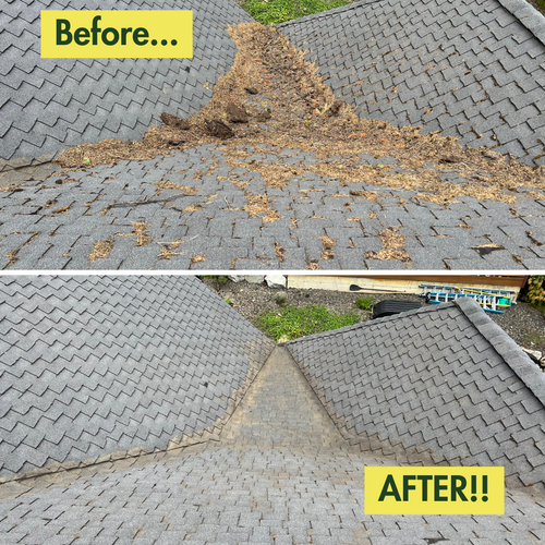 All Photos for Swift Serve in Coeur d'Alene, ID