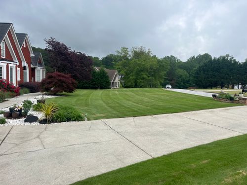 Lawn Maintenance for Adams Landscape Management Group LLC. in Loganville, GA