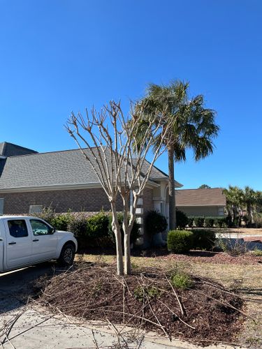 All Photos for New Creation Landscaping in Myrtle Beach, SC