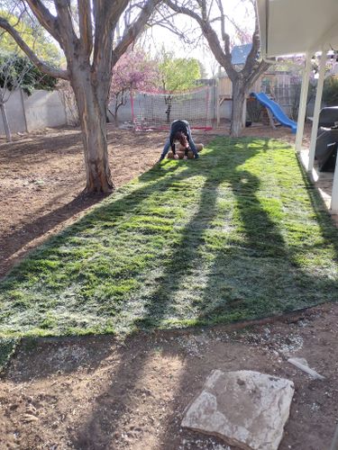 Sod Installation for 2 Brothers Landscaping in Albuquerque, NM