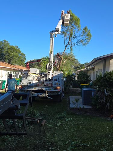 Tree Removal for Near Me Tree Service, Inc. in DeLand, FL