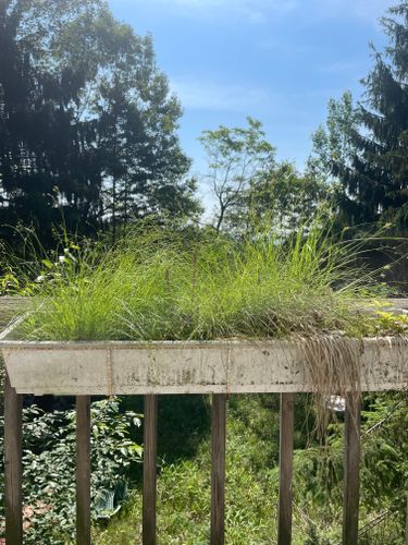  for Galactic Reiki in Mount Pocono, PA