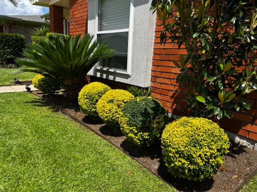 for Jay C’s Touch Landscaping & Pressure Washing Services LLC in Marrero, LA