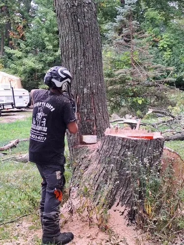 Tree Removal for Down To Earth Tree Service, LLC in Westlake, OH