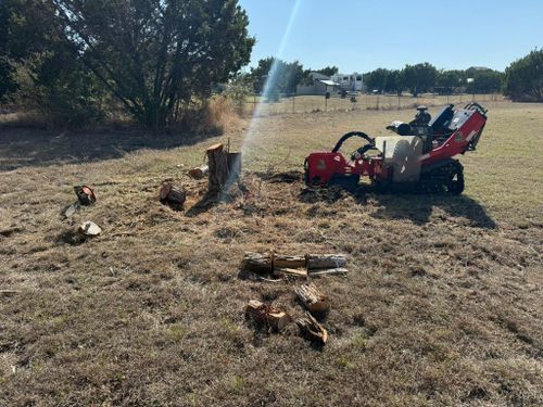 Tree Stump Grinding for Oakley’s Stump ‘N Grind in Leander, TX