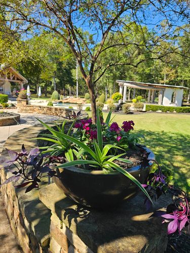 Shrub Trimming for Bruno's Professional Lawn's & Landscape in Beaumont, TX