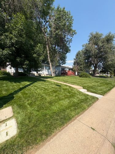 Mowing, Edging & Trimming for Denver Bros Lawn Control in Denver, CO