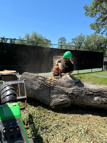 Tree Removal for Ryker's Tree Service in Dunedin, FL