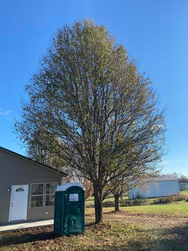 Tree Removal for Atwood’s Tree Care in Liberty,  KY