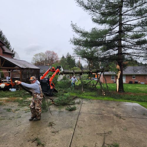 All Photos for Carpenter's Tree Service in Aurora, IN