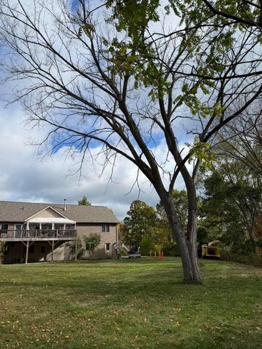  for Sterlings Tree Removal in Cobleskill, New York