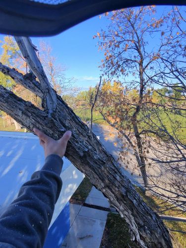  for Elevated Tree Care in Gillette, WY