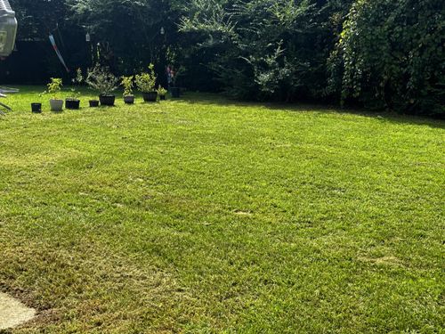 All Photos for Voilà Magic LawnCare Services in Jacksonville, NC