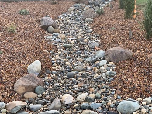 Drought Tolerant Landscapes / Xeriscapes for Blue Water Landscape Services in El Dorado Hills, CA