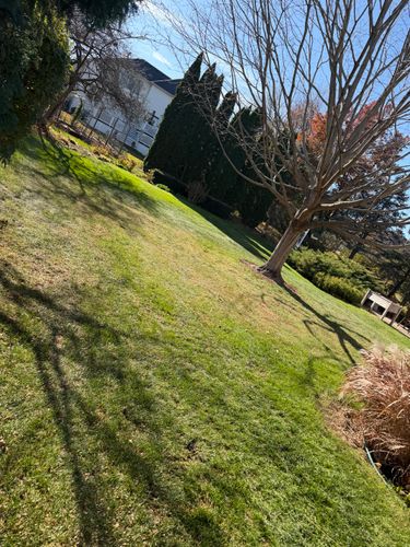 Lawn Aeration for R&L Deluxe Landscaping in Hanover Park, IL