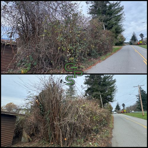 Property Clean-Up for Golovin Property Services LLC in Marysville, WA