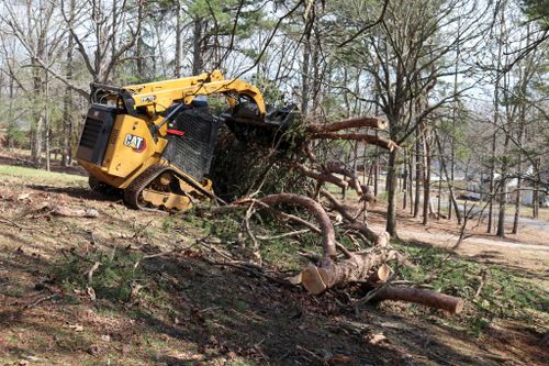 Storm Services for Mud Creek Vegetation Management in Russellville, AL